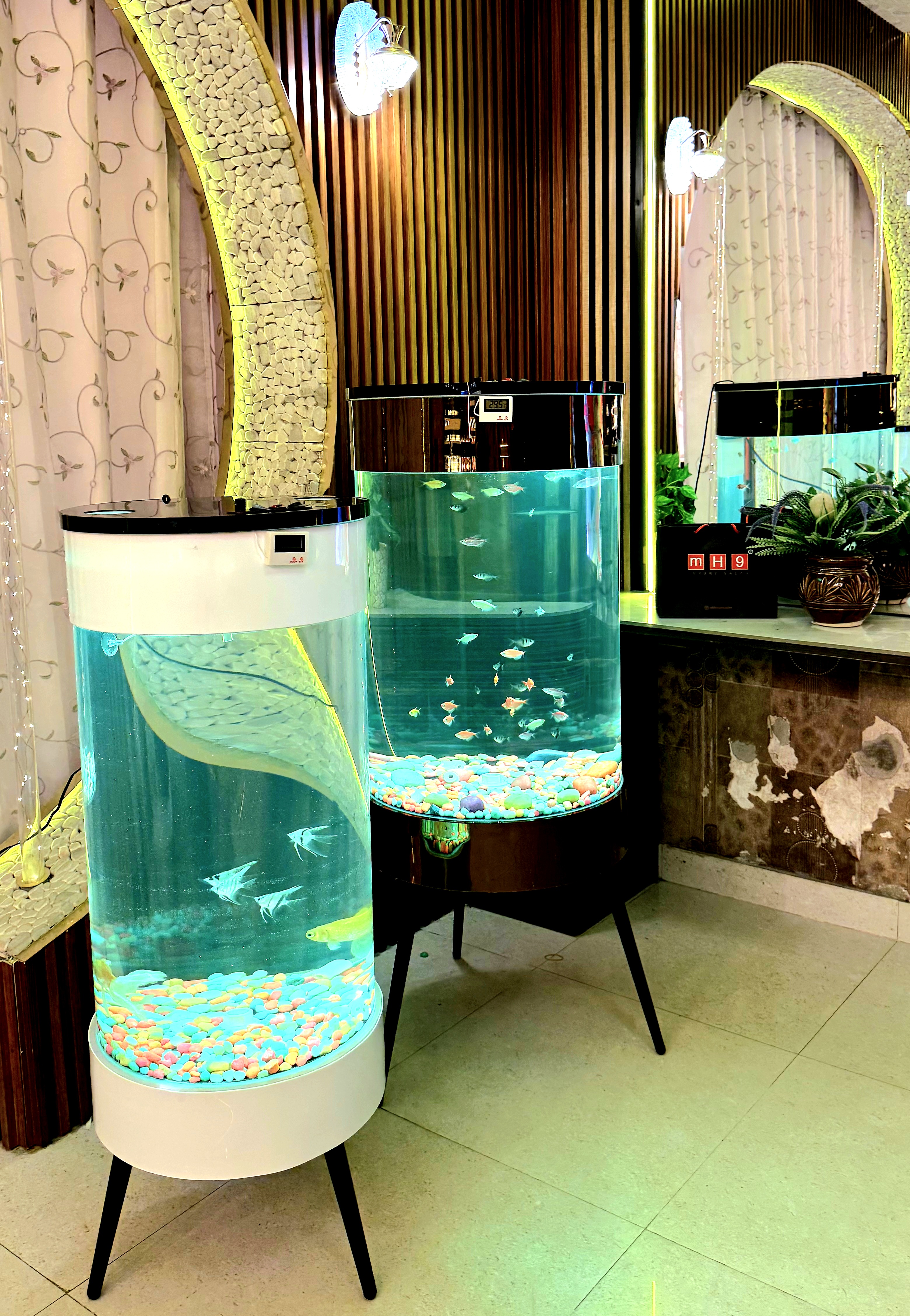 100 L Pearly White Aquarium